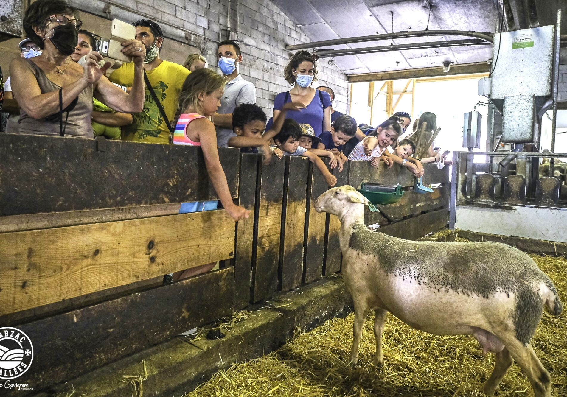 ot_lv_2020-ferme_castelneau-dscf776_w2000